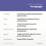 Кампанула Бали(синяя) 0,1л. — что приедет