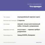 Кампанула Бали (синяя) срез/3шт — что приедет