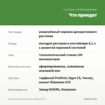 Кампанула махровая Bicolor (любовник) 0,1л — что приедет