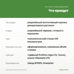 Кампанула махровая (невеста) 0,1л — что приедет