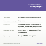 Кампанула простая Chirillo (жених) срез/3шт — что приедет