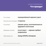 Кампанула простая Chirillo (жених) срез/3шт — что приедет