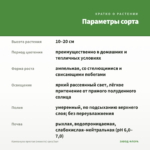Кампанула простая (невеста) срез/3шт — параметры сорта