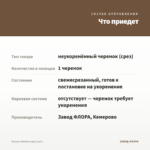 Колеус Аluston (срез/1шт) — что приедет