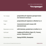 Колеус ампельный Trailing Plum Brocade (0,1л) — что приедет