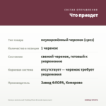 Колеус ампельный Trailing Plum Brocade (срез/1шт) — что приедет
