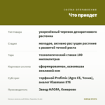 Колеус ампельный Wisley Tapestry (0,1л) — что приедет