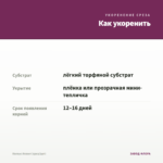 Колеус Атлант (срез/1шт) — как укоренить черенок