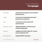 Колеус Aurora Black Cherry (0,1л) — что приедет
