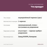 Колеус Avatar (срез/1шт) — что приедет