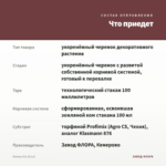 Колеус б/н (0,1л) — что приедет