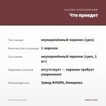 Колеус б/н (срез/1шт) — что приедет