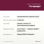 Колеус Bakhtiyar (срез/1шт) — что приедет