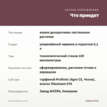 Колеус Balaklava (0,1л) — что приедет