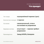 Колеус Balaklava (срез/1шт) — что приедет