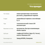 Колеус Bonnie Gold (0,1л) — что приедет