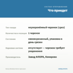 Колеус Brooklyn Horror (срез/1шт) — что приедет