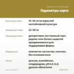Колеус Camillo (0,1л) — параметры сорта
