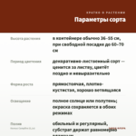 Колеус Campfire (0,1л) — параметры сорта