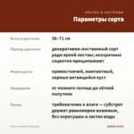 Колеус Campfire (срез/1шт) — параметры сорта