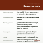 Колеус Campfire (срез/1шт) — параметры сорта