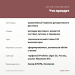 Колеус Catrine Pink Coral (0,1л) — что приедет