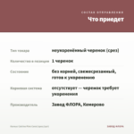 Колеус Catrine Pink Coral (срез/1шт) — что приедет