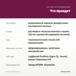 Колеус Centurion (0,1л) — что приедет