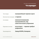 Колеус Cocoa Mint (срез/1шт) — что приедет
