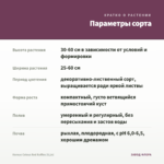 Колеус Coleus Red Ruffles (0,1л) — параметры сорта