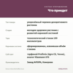 Колеус Coleus Red Ruffles (0,1л) — что приедет