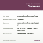 Колеус Coleus Red Ruffles (срез/1шт) — что приедет