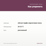 Колеус Coleus Red Ruffles (срез/1шт) — как укоренить черенок