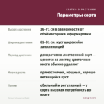 Колеус Coleusaurus (0,1л) — параметры сорта