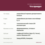 Колеус Coleusaurus (0,1л) — что приедет