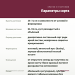 Колеус Coleusaurus (срез/1шт) — параметры сорта