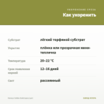 Колеус Collins Gold (срез/1шт) — как укоренить черенок