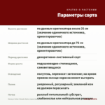 Колеус Color Clouds Spicy (срез/1шт) — параметры сорта
