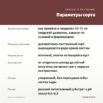 Колеус Combat (0,1л) — параметры сорта
