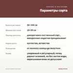 Колеус Combat (срез/1шт) — параметры сорта