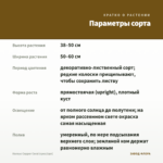Колеус Copper Coral (срез/1шт) — параметры сорта