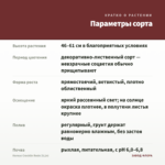Колеус Cracklin Rosie (0,1л) — параметры сорта