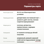 Колеус Cracklin Rosie (срез/1шт) — параметры сорта