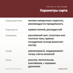 Колеус Cranberry Sun (0,1л) — параметры сорта