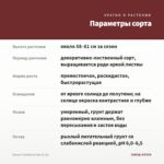 Колеус Cranberry Sun (0,1л) — параметры сорта