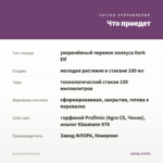 Колеус Dark Elf (0,1л) — что приедет