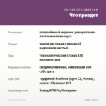 Колеус Dark Elf (0,1л) — что приедет