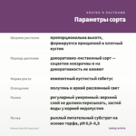 Колеус Dark Elf (срез/1шт) — параметры сорта