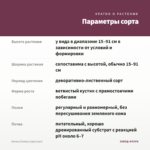Колеус Ecstasy (срез/1шт) — параметры сорта