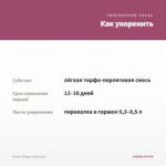 Колеус Elegya (срез/1шт) — как укоренить черенок